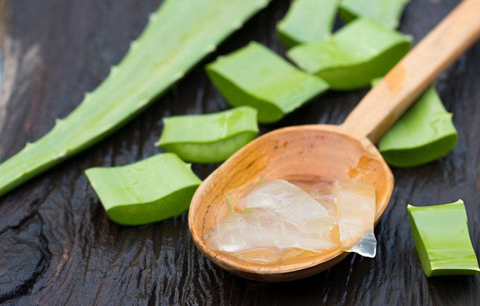 Aloe Vera Oil & Honey Makeup